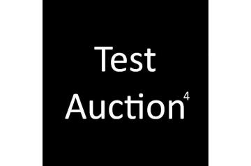 Test Auction 4 - All Rights