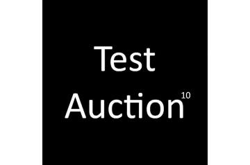 Test Auction 10 - All Rights